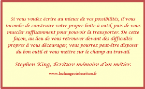 écriture mémoire d'un métier SKing2