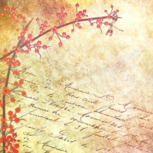 appel à textes, le bon sens